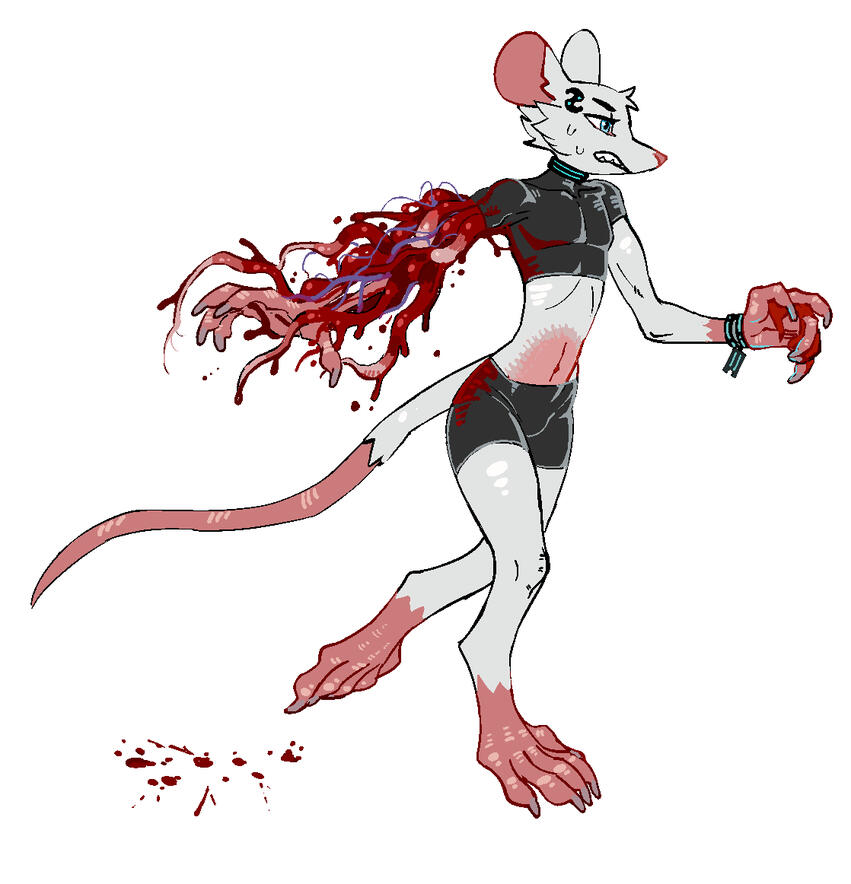Rose - arm gore Rose - arm gore